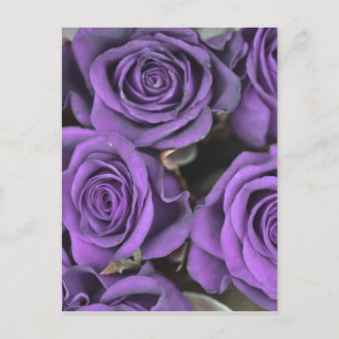 bouquet purple rose roses date rsvp bridal destiny invitation postcard