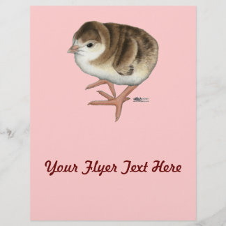 Bourbon Red Turkey Poult Flyer