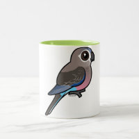Bourke's Parrot