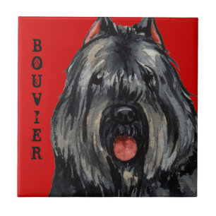 Bouvier Colour Block Tile