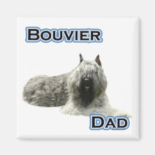 Bouvier Dad 4 - Magnet