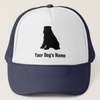 Bouvier des Flandres ブーヴィエ・デ・フランドル