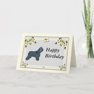 Bouvier des Flandres — Birthday Card
