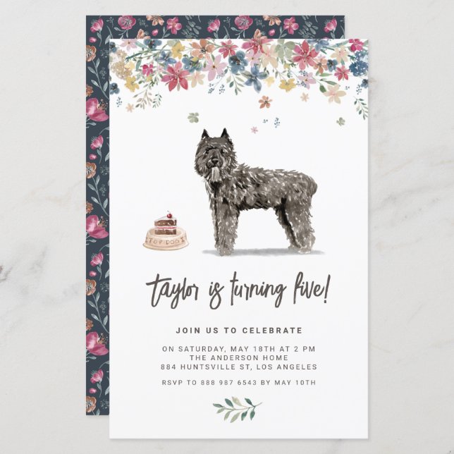  Bouvier des Flandres Dog Birthday Invitation (Front/Back)