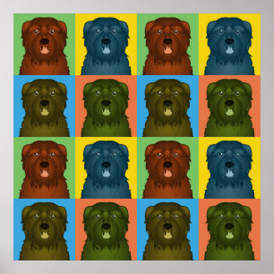 Bouvier des Flandres Dog Cartoon Pop-Art Poster