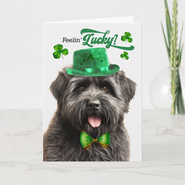 Bouvier des Flandres Dog Lucky St Patrick's Day Holiday Card (Front)
