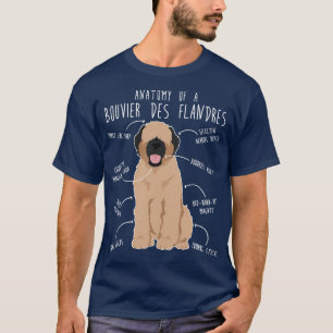 Bouvier Des Flandres Fawn Cream Dog Anatomy 1 T-Shirt