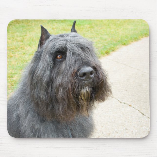 Bouvier des Flandres Mouse Pad (Front)