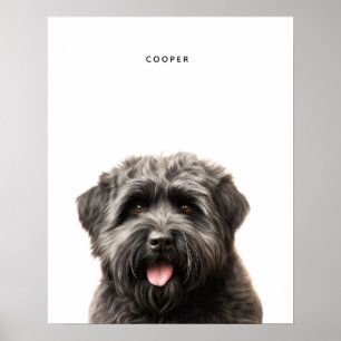 Bouvier Des Flandres Personalized Print