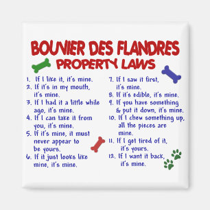 BOUVIER DES FLANDRES Property Laws 2 Magnet