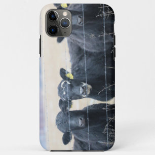 Bovine bystanders Case-Mate iPhone case