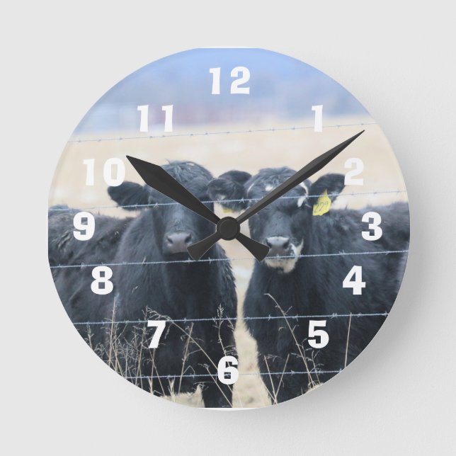 Bovine bystanders round clock (Front)
