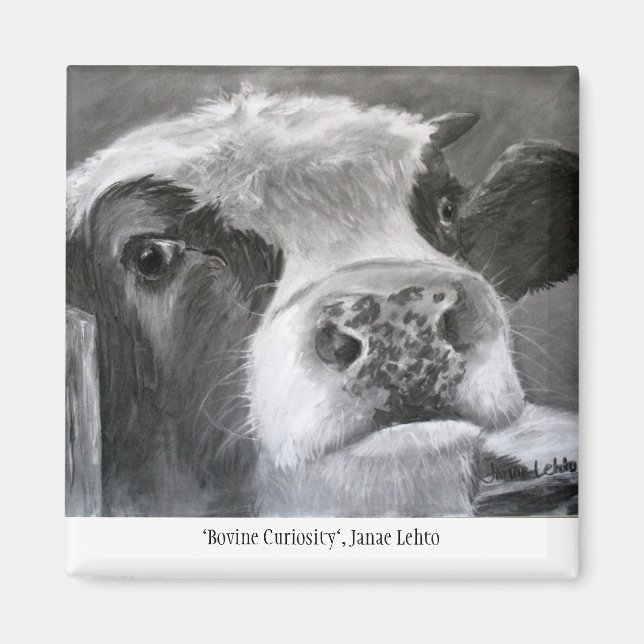 Bovine Curiosity Magnet (Front)