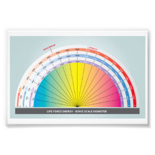 Bovis scale for measuring life force energy photo print