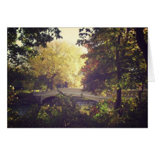 Bow Bridge Framed By Trees,Central Park, NYC