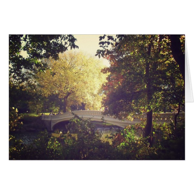 Bow Bridge Framed By Trees,Central Park, NYC (Front Horizontal)