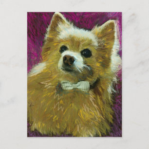 Bow Tie #2 Postcard
