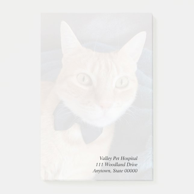 Bow tie cat post-it notes (Front)