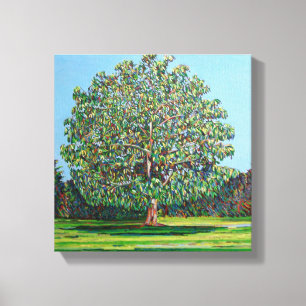 Bow Tree Summer Canvas Print