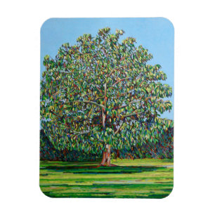 Bow Tree Summer Magnet