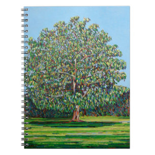 Bow Tree Summer Notebook