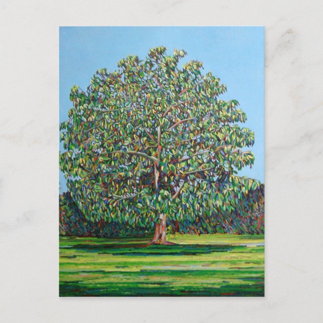 Bow Tree Summer Postcard (Front)