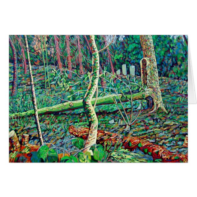 Bow Trench 2 (Front Horizontal)