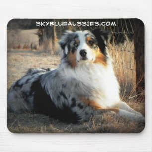 Bowdie - Sky Blue Aussie Mouse Pad