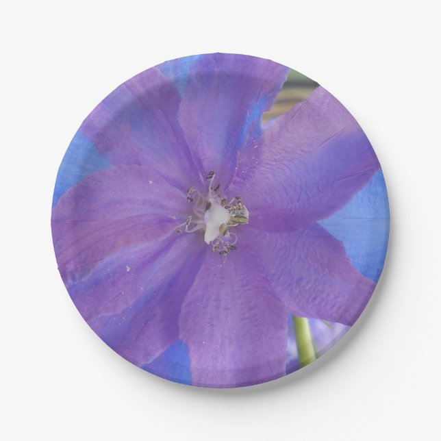 Bowen Paper Plate (Front)