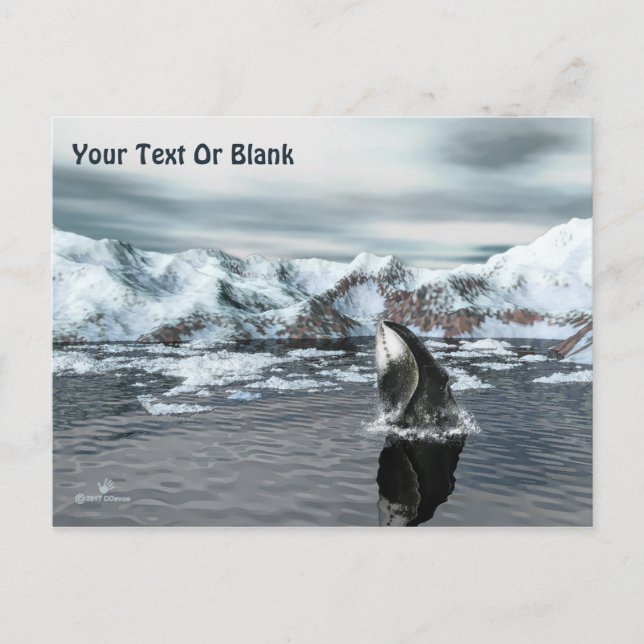 Bowhead Whale Postcard (Front)