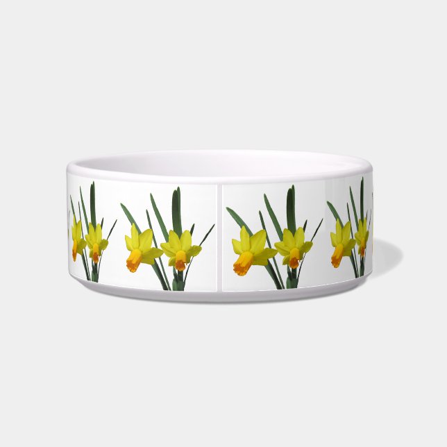 Bowl - Daffodil (Back)