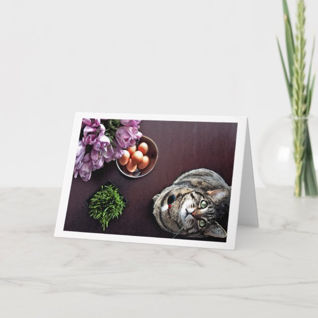 Bowl of eggs. Snapshot 2 Holiday Card (Front)