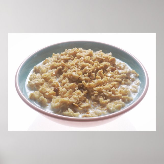 Bowl of Oatmeal Poster (Front)