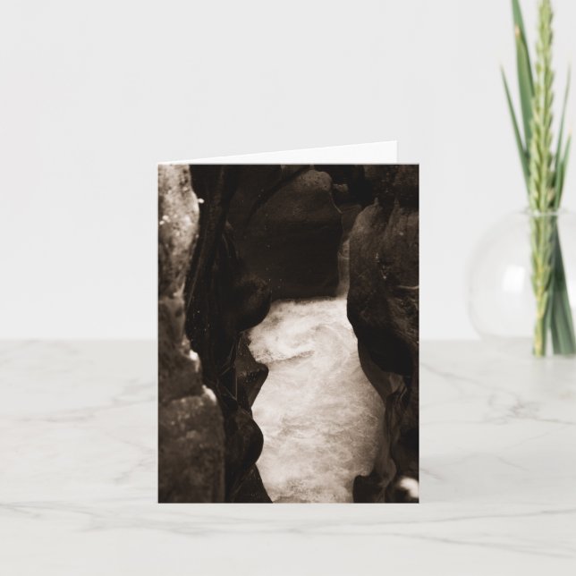 Box Canyon Thank You Card (Front)