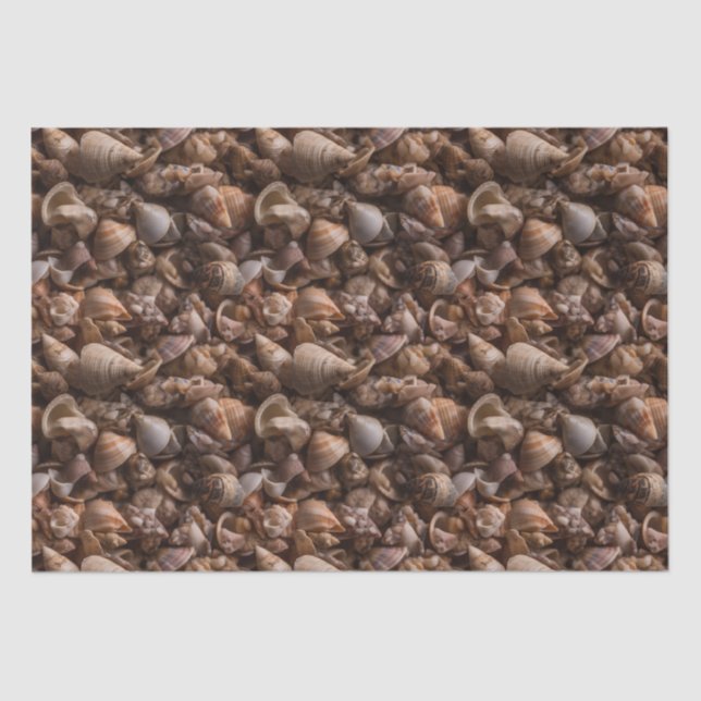 Box of Seashells Repeating Pattern Tissue Paper (Front)