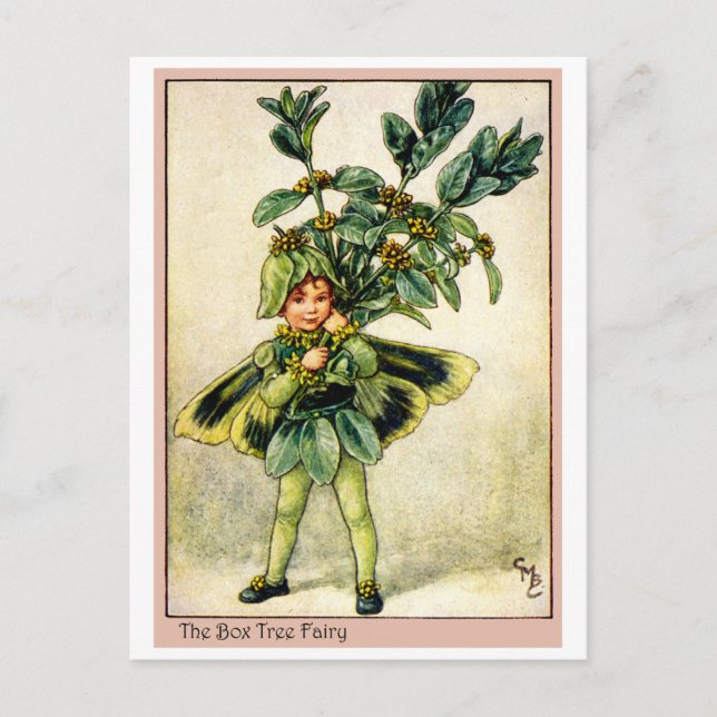 Box Tree Fairy Postcard (Front)