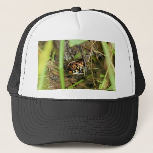 Box Turtle and Tadpoles Trucker Hat
