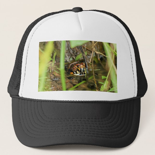 Box Turtle and Tadpoles Trucker Hat (Front)