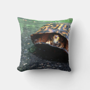 Box Turtle Cushion