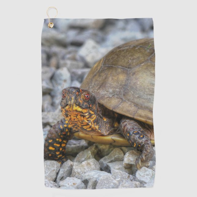 Box Turtle  Golf Towel (Front)