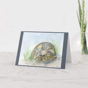 Box Turtle Greeting card. Blank inside. Card