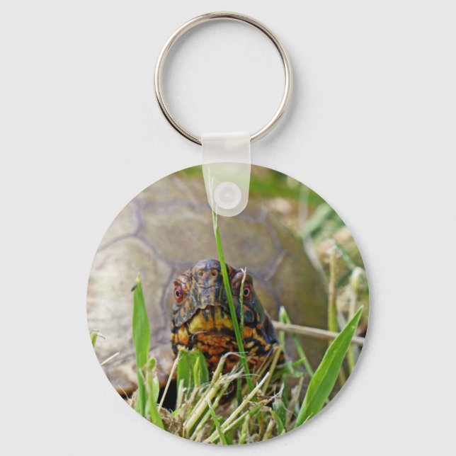 Box Turtle Key Ring (Front)