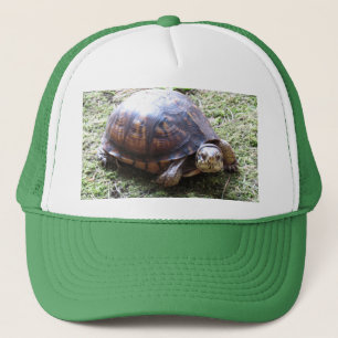 Box Turtle - Mossy Path Trucker Hat