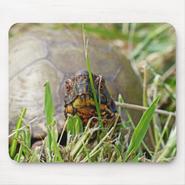 Box Turtle Mouse Pad (Front)