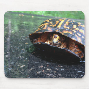 Box Turtle Mouse Pad