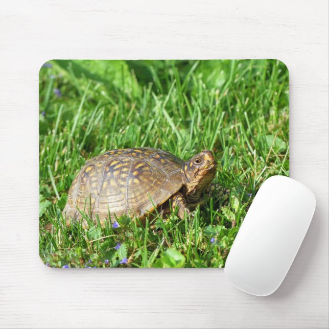 Box Turtle Mouse Pad (With Mouse)