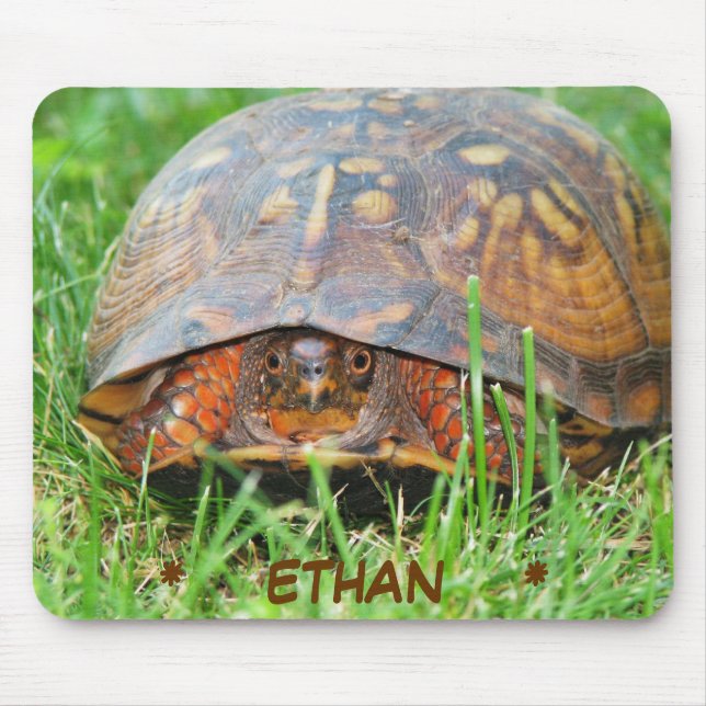 Box Turtle Mouse Pad (Front)