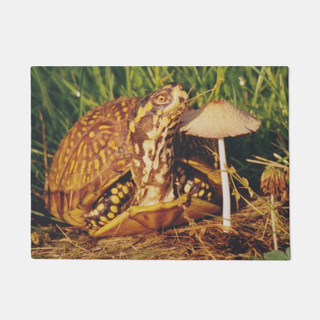 Box Turtle Mushroom Door Mat (Front)