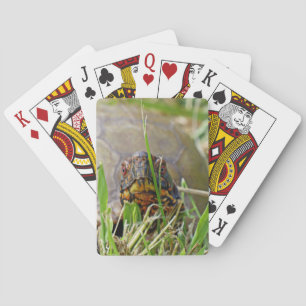 Box Turtle Playing Cards
