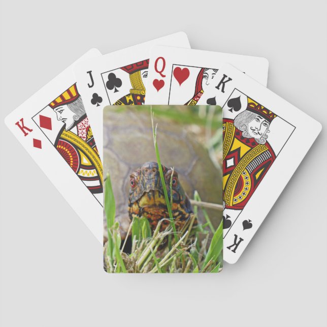 Box Turtle Playing Cards (Back)